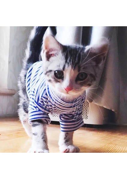 Mavi Stil Xs Beden Çizgili Köpek Kedi Giyim Pamuk Küçük Köpekler Için Pet Giysi Kostüm Kediler Gömlek Chihuahua Yorkies Yavru Kıyafet Kedi Ceket Kostüm (Yurt Dışından) fiyatları