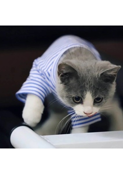 Mavi Stil Xs Beden Çizgili Köpek Kedi Giyim Pamuk Küçük Köpekler Için Pet Giysi Kostüm Kediler Gömlek Chihuahua Yorkies Yavru Kıyafet Kedi Ceket Kostüm (Yurt Dışından) modelleri