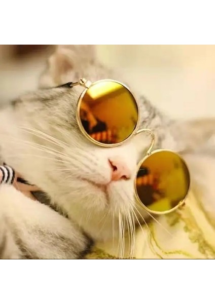 No.6 Tarzı Sevimli Vintage Yuvarlak Kedi Güneş Gözlüğü Pet Fotoğrafları Sahne Yansıma Gözlük Kediler Için Gözlük Küçük Köpek Pet Köpek Kedi Aksesuarları (Yurt Dışından) fırsatları