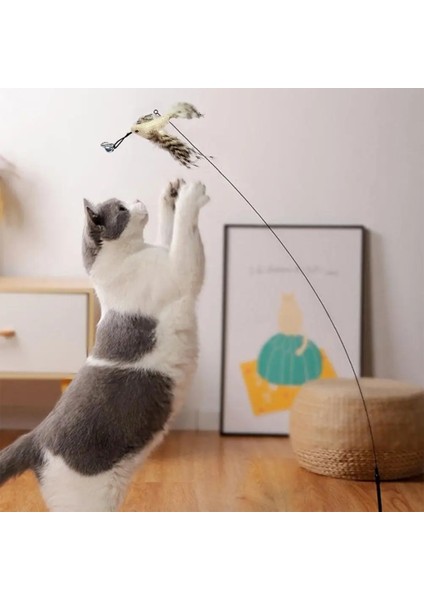 M2 Stili Simülasyon Kuş Interaktif Kedi Oyuncak Çan ile Komik Tüy Kuş Kedi Çubuk Oyuncak Yavru Oynayan Teaser Değnek Oyuncak Kedi Malzemeleri (Yurt Dışından)