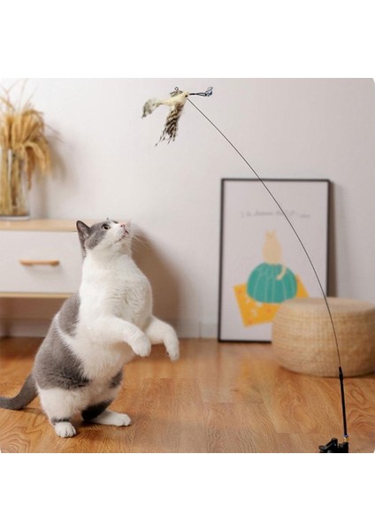 M2 Stili Simülasyon Kuş Interaktif Kedi Oyuncak Çan ile Komik Tüy Kuş Kedi Çubuk Oyuncak Yavru Oynayan Teaser Değnek Oyuncak Kedi Malzemeleri (Yurt Dışından)