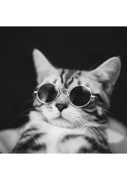 No.13 Tarzı Sevimli Vintage Yuvarlak Kedi Güneş Gözlüğü Pet Fotoğrafları Sahne Yansıma Gözlük Kediler Için Gözlük Küçük Köpek Pet Köpek Kedi Aksesuarları (Yurt Dışından) indirimleri