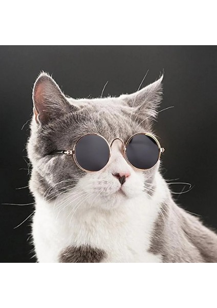 K Tarzı S Beden Vintage Yuvarlak Köpekler Için Güneş Gözlüğü Kediler Koşum Aksesuar Küçük Köpek Için Yansıma Gözlük Kedi Pet Lensler Aletler Evcil Hayvan Ürünleri (Yurt Dışından) fırsatları