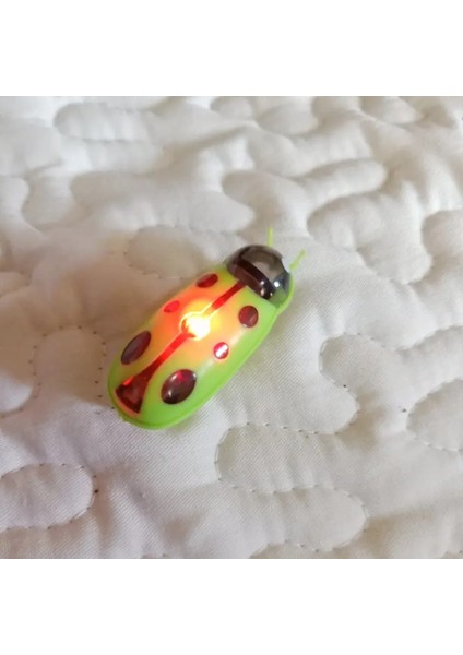 Yeşil Uğur Böceği Stili LED Yok Titreşimli Kedi Oyuncak, Lady Bug, Kedi Böcek Oyuncak, Yanıp Sönen Led'li Veya Led'siz (Yurt Dışından)