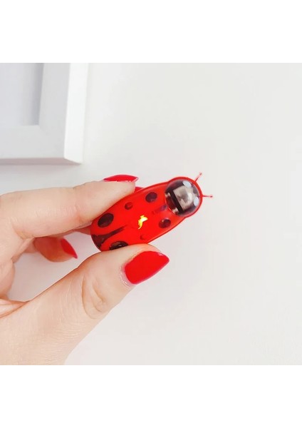 Yeşil Uğur Böceği Stili LED Yok Titreşimli Kedi Oyuncak, Lady Bug, Kedi Böcek Oyuncak, Yanıp Sönen Led'li Veya Led'siz (Yurt Dışından) modelleri