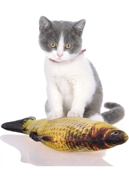 Saury Oyuncak Stili 20CM Fermuar Yok 1 Adet Catnip Balık Peluş Kedi Oyuncak Balık Pamuk Cusion Catew Varış Için Funpillow Pet Oyuncak (Yurt Dışından)