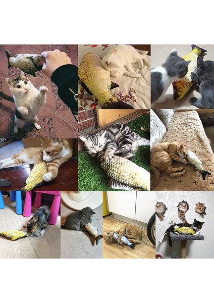 No.2 Tarzı 2021 Yeni 30 cm Kedi Sallayarak Catnip Oyuncak Dans Hareketli Disket Balık Kediler Oyuncak USB Şarj Simülasyon Kedi Oyuncak Elektronik Pet Kedi Oyuncak (Yurt Dışından) indirimleri