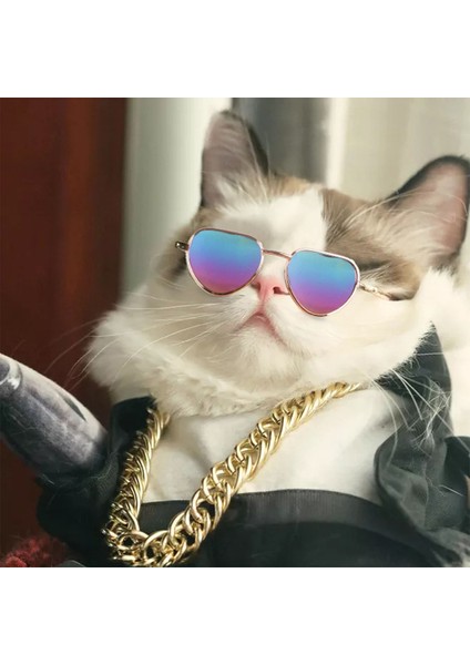 No.13 Tarzı Güzel Pet Kedi Gözlük Köpek Gözlükleri Küçük Köpek Için Pet Ürün Kedi Gözlük Güneş Gözlüğü Yansıma Fotoğrafları Sahne Pet Kedi Aksesuarları (Yurt Dışından) fırsatları