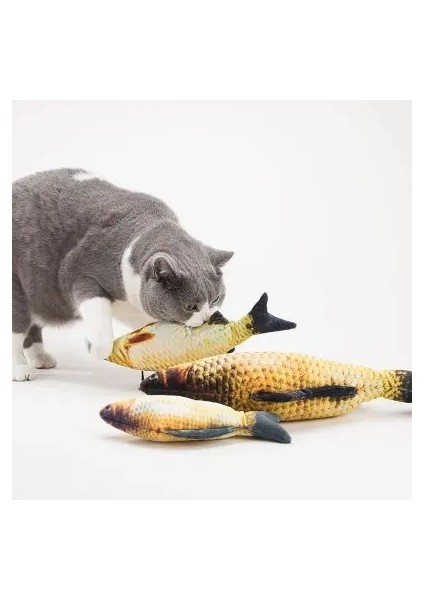Palyaço Balığı Tarzı 20 Santimetre Yeni Kedi Oyuncak Simülasyon Balık Kedi Nane Peluş Oyuncak Komik Kedi Oyuncak Pet Molar Isırık Oyuncak Çim Sazanı Bebek Yastığı (Yurt Dışından) fiyatları