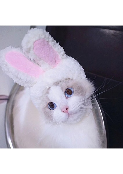 Sarı Stil Sevimli Kedi Başlık Tavşan Sürükle Şapka Kedi Köpek Şapkalar Kostüm Performans Photoprops Komik Pet Şapka Tavşan Kulakları Cosplay Aksesuarları (Yurt Dışından) fiyatları