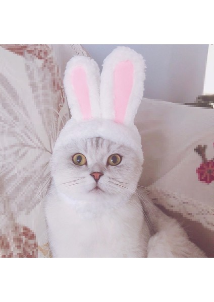 Sarı Stil Sevimli Kedi Başlık Tavşan Sürükle Şapka Kedi Köpek Şapkalar Kostüm Performans Photoprops Komik Pet Şapka Tavşan Kulakları Cosplay Aksesuarları (Yurt Dışından) modelleri