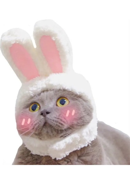 Sarı Stil Sevimli Kedi Başlık Tavşan Sürükle Şapka Kedi Köpek Şapkalar Kostüm Performans Photoprops Komik Pet Şapka Tavşan Kulakları Cosplay Aksesuarları (Yurt Dışından) indirimleri