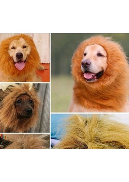 No.4 Tarzı 74CM Pet Köpek Aslan Yelesi Peruk Saç Dekor Köpek Peruk Saç Kostüm Büyük Orta Küçük Köpek Cadılar Bayramı Hediyesi Için Cosplay Komik Şapka Pet Giyim (Yurt Dışından) modelleri