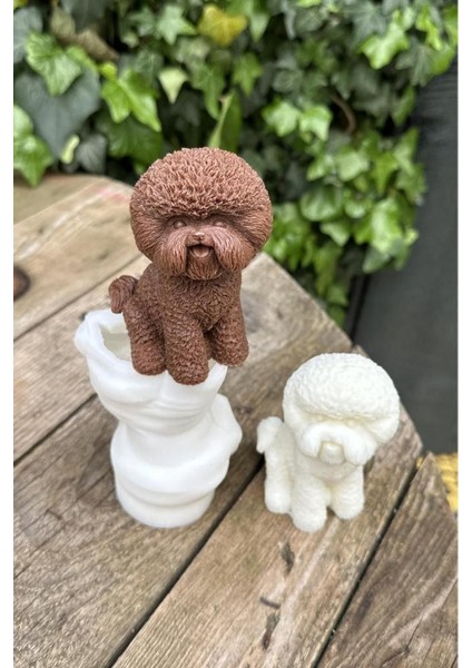 Poodle Köpek Mum Kalıbı (Silikon) (1 Adet)