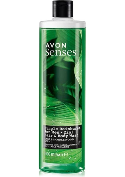 Senses Jungle Rainburst Adaçayı ve Sandal Ağacı Kokulu Erkek Saç ve Vücut Şampuanı 500 ml