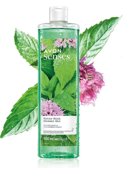 Senses Water Mint Nane ve Salatalık Kokulu Duş Jeli 500 ml fiyatları