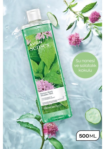 Senses Water Mint Nane ve Salatalık Kokulu Duş Jeli 500 ml modelleri