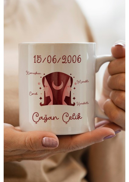 Ikizler Burcu Yılbaşı Hediyesi Kişiye Özel Kupa Bardak