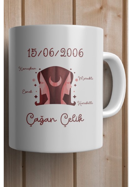 Ikizler Burcu Yılbaşı Hediyesi Kişiye Özel Kupa Bardak fiyatları