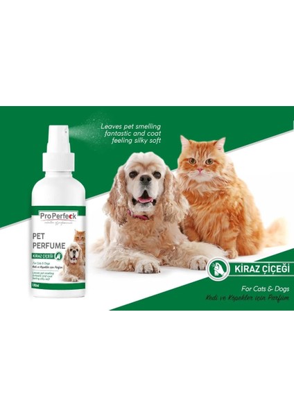 Kedi Ve Köpek Kiraz Çiçeği Parfüm 100 Ml