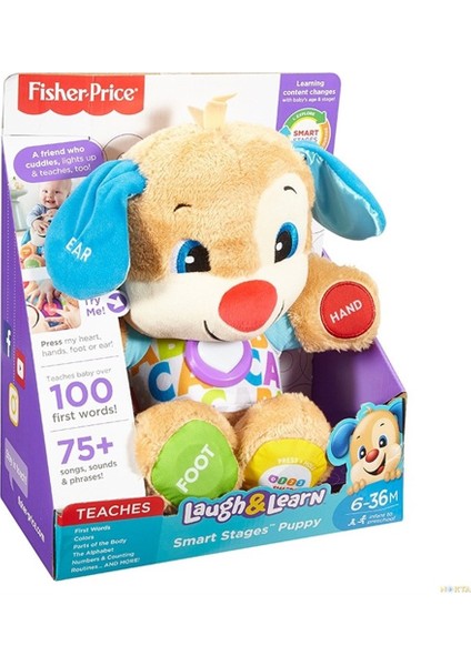 Fisher Price Yaşa Göre Gelişim Eğitici Köpekçik FPN79 (Türkçe)