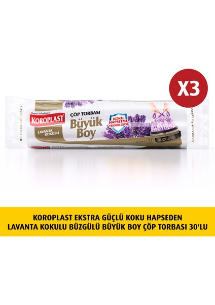 Koku Hapseden Lavanta , Büzgülü Büyük ÇÖP10LUX3AD