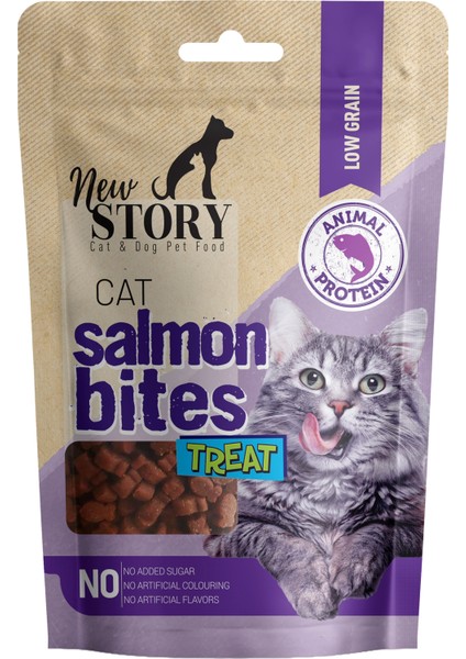 Biyotin Malt Paste 100 ml Multivitamin Malt Cat Salmon Bites 2 x 60 gr Taneli Somonlu Kedi Ödülü
