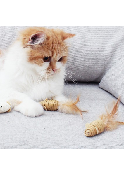 Joyful World Fare Şekilli Kedi Tırmalama Topu Komik Kedi Sopa Gürültü Kağıt Topu Kedi Oyuncak (Yurt Dışından)