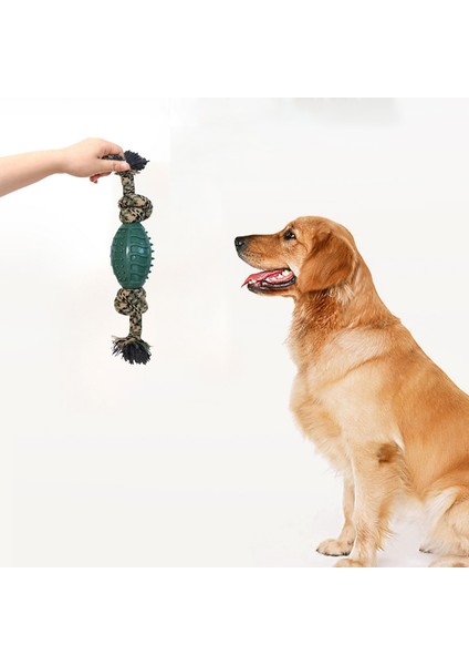 Golden Retriever Evcil Hayvan Oyuncak Halat Çiğneme Ipi Evcil Hayvan Diş Çıkarma Pamuk Ipi (Yurt Dışından)