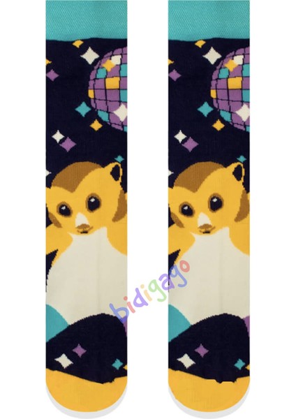 Disco Hamster Desenli Kolej Çorap