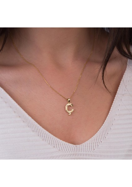 14 Ayar Altın Ç Harfi Kolye Ucu 0.64 gr fiyatları