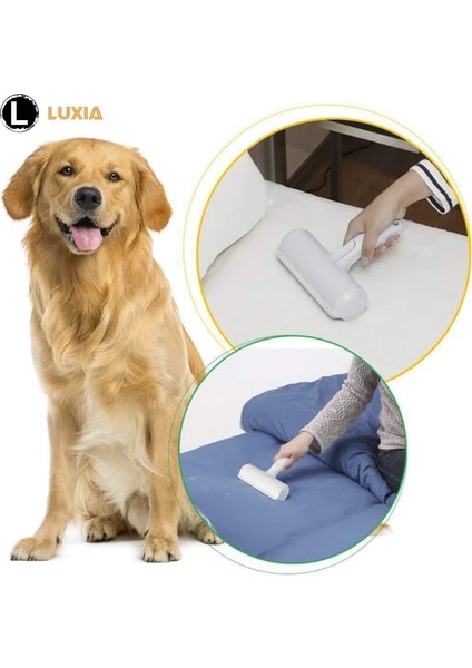 Mor Tarzı Pet Saç Rulo Sökücü Lint Fırçası 2 Yollu Köpek Kedi Tarak Aracı Uygun Temizleme Köpek Kedi Kürk Fırça Tabanı Ev Mobilyaları Kanepe Giydirin (Yurt Dışından) fırsatları