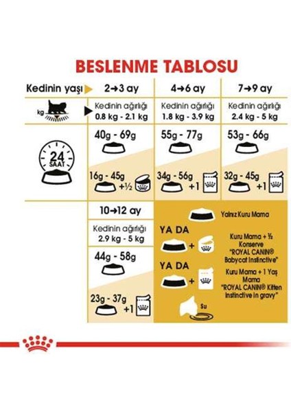 Kitten Persian 32 Yavru İran Irk Maması 2 Kg