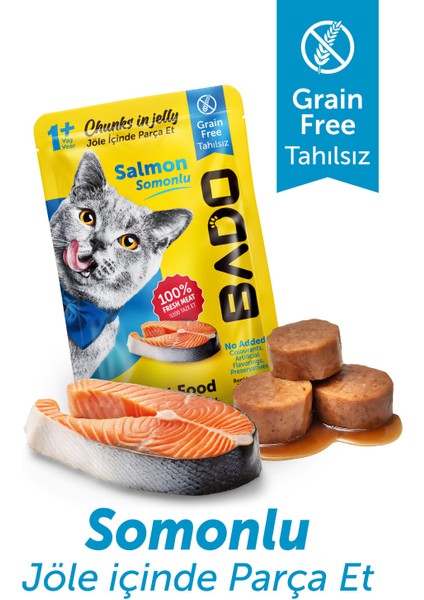 Yetişkin Yaş Kedi Maması Parça Somon Balıklı 85 Gram