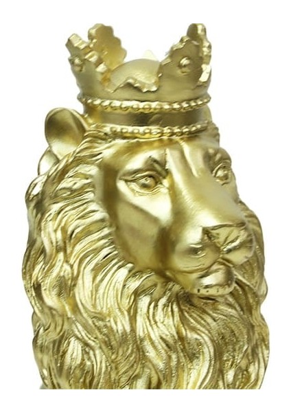 Aslan Oturan Biblo