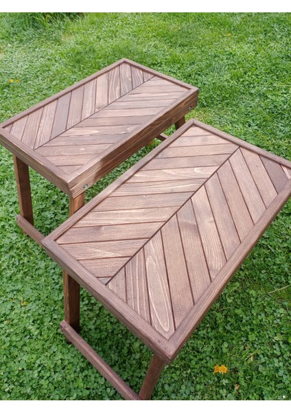 BİRAYSE Aşap Katlanır Piknik ve Kamp Sehpası fiyatları