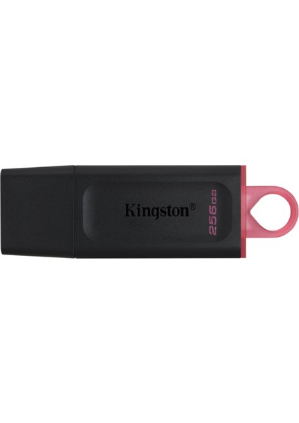 256GB Usb3.2 Gen1 DTX/256GB Exodia Kıngston fiyatları