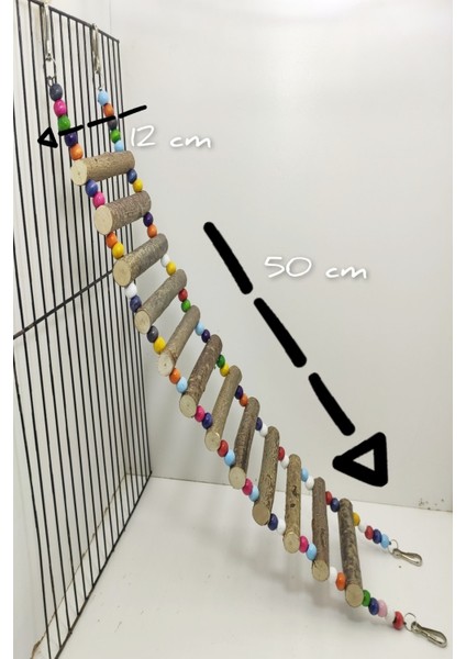 Kakadu Papagan Ahsap Merdiven 50 cm Kopru