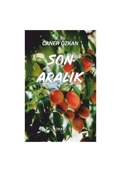 Son Aralık - Caner Özkan