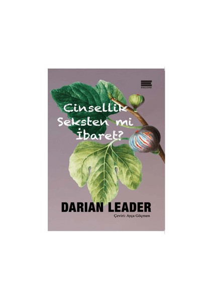 Cinsellik Seksten mi İbaret? - Darian Leader