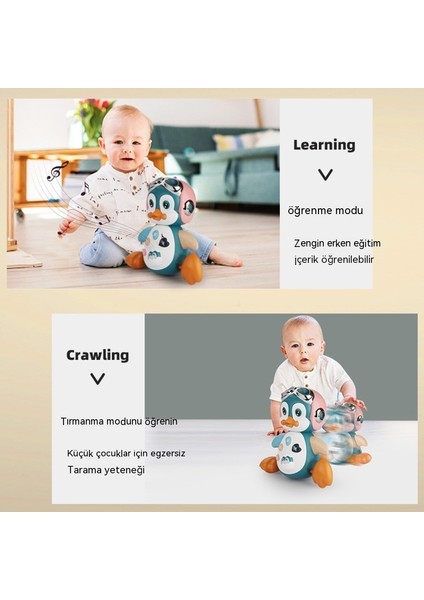 Elektrikli Hafif Müzik Salıncak Dans Penguen Erken Eğitim Eğitici Yürüyüş Evcil Hayvan Hayvan Modeli Çocuk Oyuncağı (Yurt Dışından) modelleri