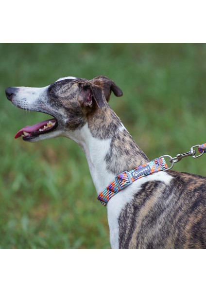 Büyük ve Orta Boy Köpekler Için Evcil Hayvan Malzemeleri Evcil Hayvan Tasmaları (Yurt Dışından)