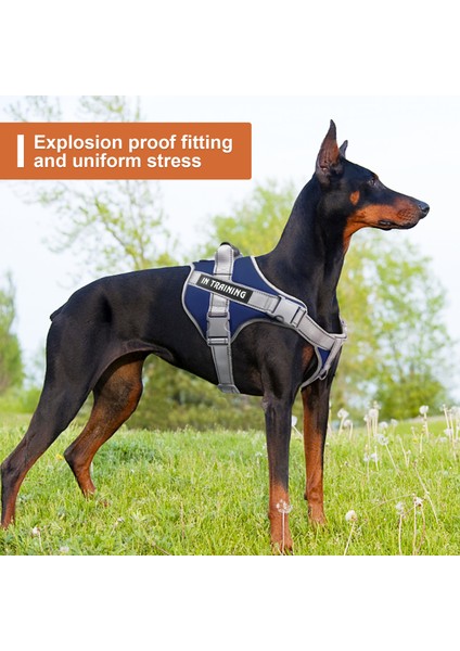 Patlamaya Dayanıklı Köpek Yürüyüşü Için Yansıtıcı Köpek Tasma Koşum Takımı (Yurt Dışından) modelleri