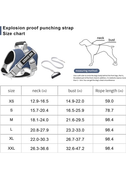 Yansıtıcı Köpek Tasması, Patlamaya Dayanıklı Köpek Yürüyüş Ipi (Yurt Dışından)