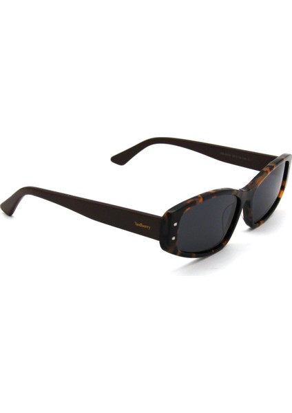 RB 8800 C04 Güneş Bayan Gözlüğü modelleri