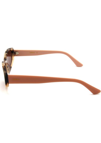 RB 8800 C02 Güneş Bayan Gözlüğü fırsatları