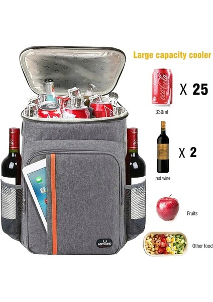 Siyah Stil 20L Termal Soğutucu Sırt Çantası Yalıtımlı Çanta Öğle Yemeği Soğutucu Sırt Çantası Buzdolabı Seyahat Plaj Bira Sızdırmaz Gıda Depolama (Yurt Dışından) fiyatları