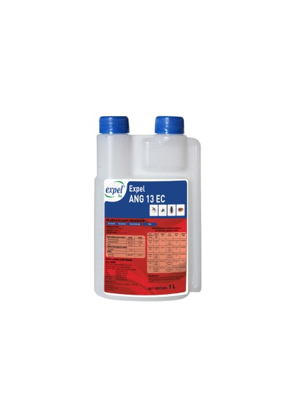 Ang 13 Ec