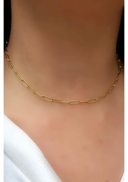 Italyan Tasarımı 925AYAR Gümüş Üzerine Altın Kaplama Ataç Zincir Choker Kolye