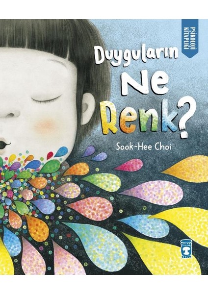 Duyguların Ne Renk? (Ciltli) - Sook-Hee Choi